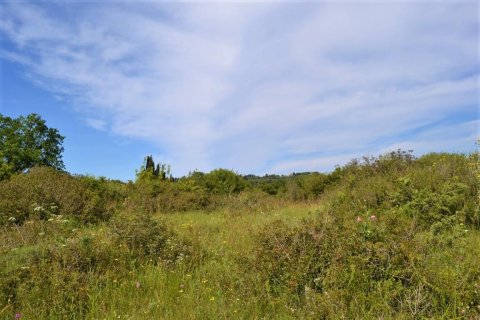 72000m² Land en Corfu, Greece No. 56952 11