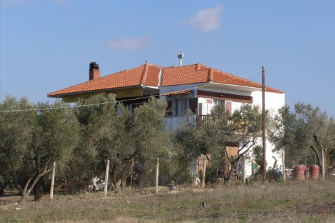 21350m² Land en Chalkidiki, Greece No. 56956 2