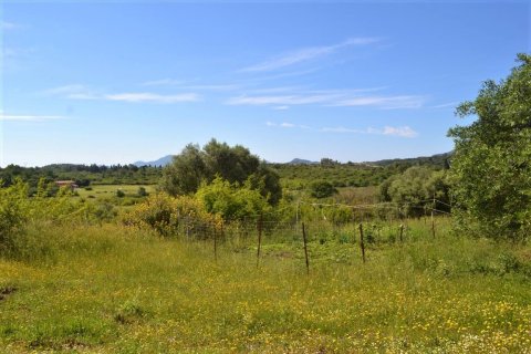 12044m² Land en Corfu, Greece No. 56951 8