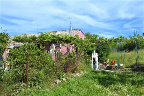 12044m² Land in Corfu, Greece No. 56951 3