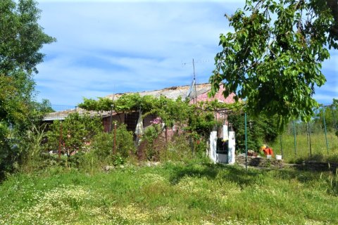 12044m² Land à Corfu, Greece No. 56951 4