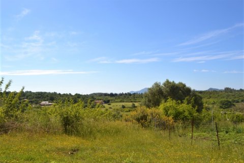 12044m² Land en Corfu, Greece No. 56951 1