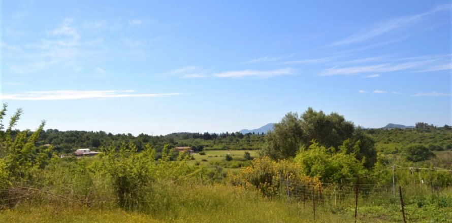 12044m² Land in Corfu, Greece No. 56951