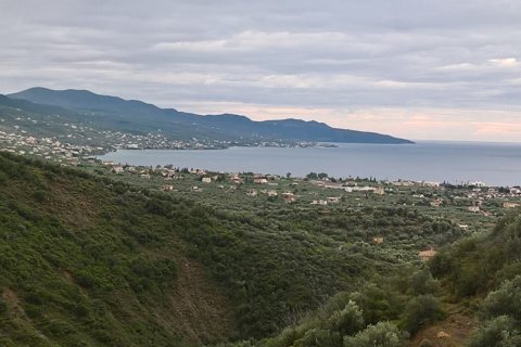 15500m² Land in Kalamata, Greece No. 58648 1