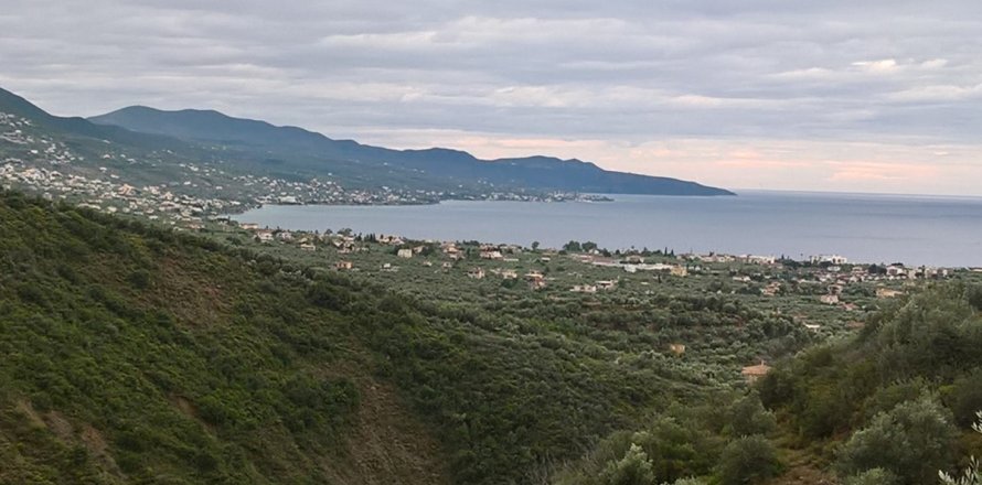 15500m² Land in Kalamata, Greece No. 58648