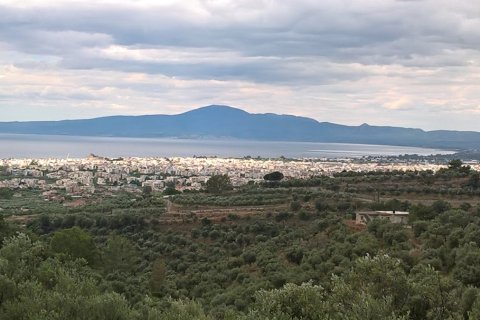 15500m² Land en Kalamata, Greece No. 58648 3