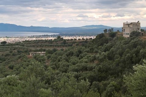 15500m² Land en Kalamata, Greece No. 58648 2