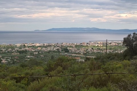 15500m² Land in Kalamata, Greece No. 58648 4