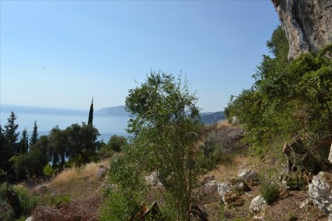 6260m² Land in Corfu, Greece No. 58653 8