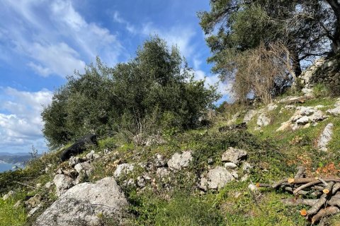 6260m² Land in Corfu, Greece No. 58653 20