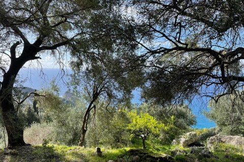 6260m² Land à Corfu, Greece No. 58653 11