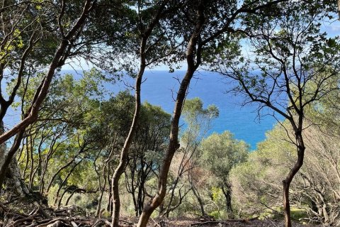 6260m² Land in Corfu, Greece No. 58653 3