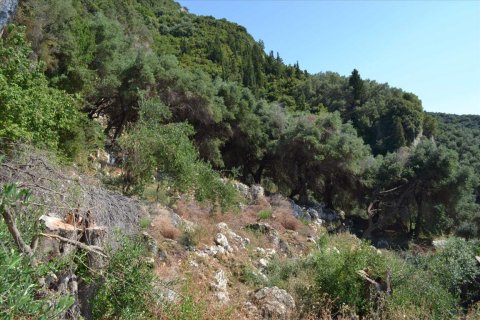 6260m² Land en Corfu, Greece No. 58653 18