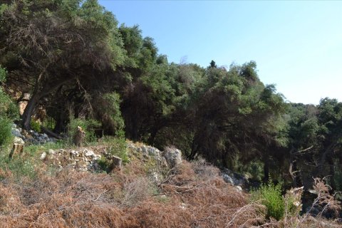 6260m² Land in Corfu, Greece No. 58653 16