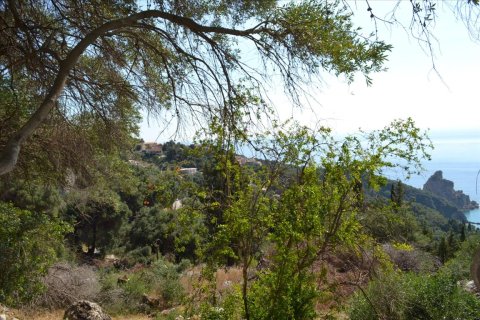 6260m² Land à Corfu, Greece No. 58653 14