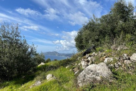 6260m² Land in Corfu, Greece No. 58653 21