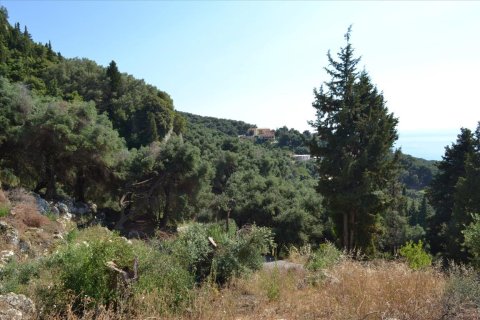 6260m² Land en Corfu, Greece No. 58653 17