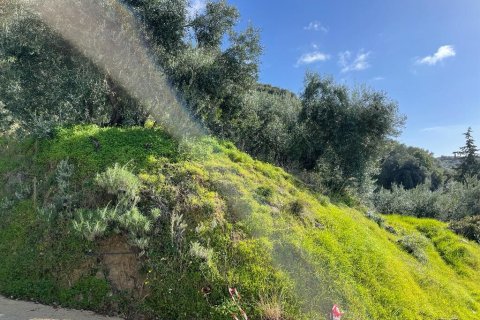 6260m² Land in Corfu, Greece No. 58653 25