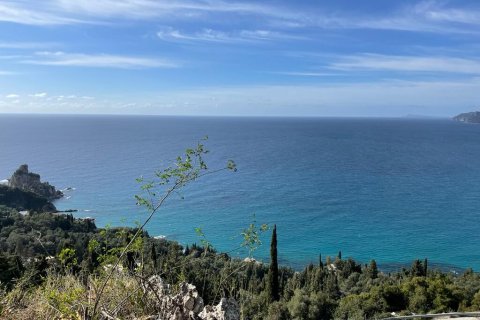 6260m² Land à Corfu, Greece No. 58653 2