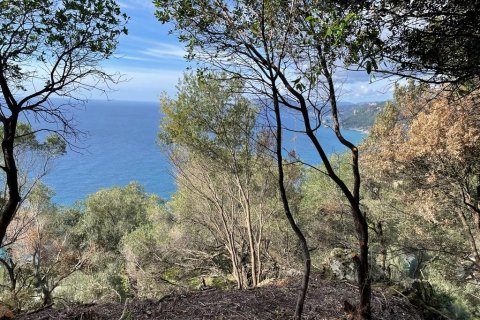 6260m² Land à Corfu, Greece No. 58653 13