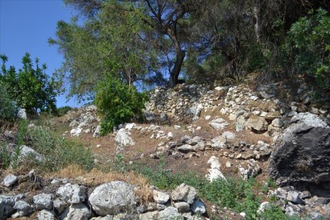 6260m² Land in Corfu, Greece No. 58653 19