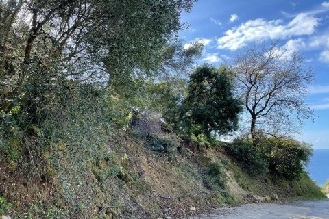 6260m² Land en Corfu, Greece No. 58653 23