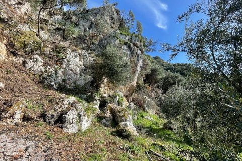 6260m² Land à Corfu, Greece No. 58653 15