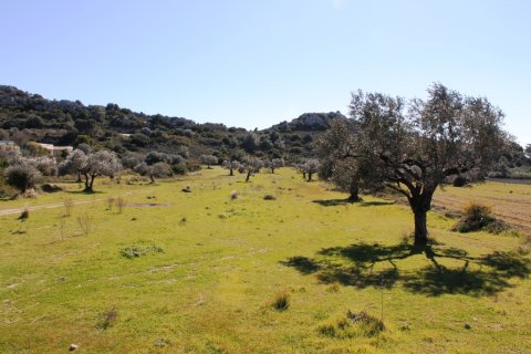 17500m² Land en Rhodes, Greece No. 59865 2