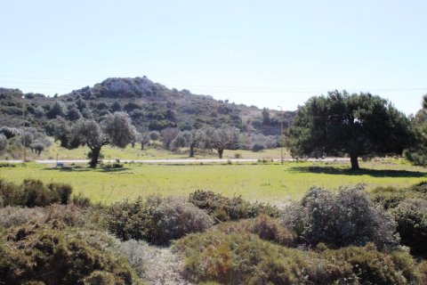 17500m² Land in Rhodes, Greece No. 59865 4