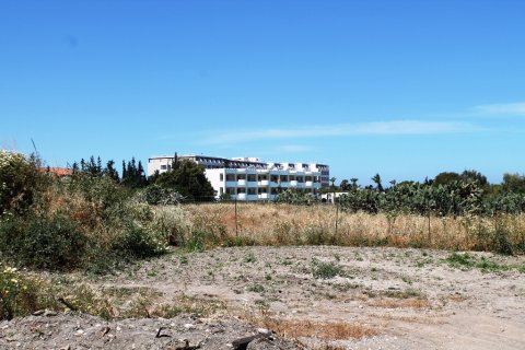 18755m² Land en Rhodes, Greece No. 59704 9