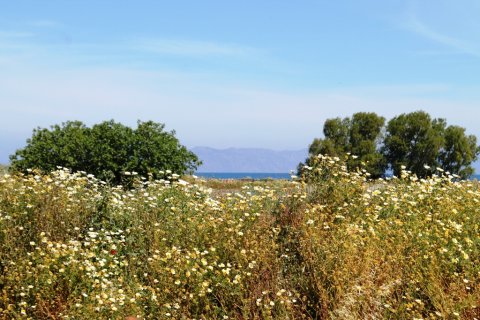 18755m² Land in Rhodes, Greece No. 59704 2