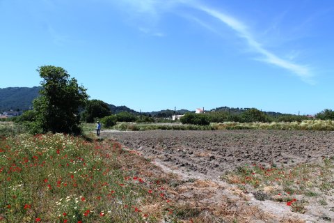 18755m² Land en Rhodes, Greece No. 59704 28