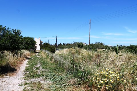 18755m² Land in Rhodes, Greece No. 59704 6