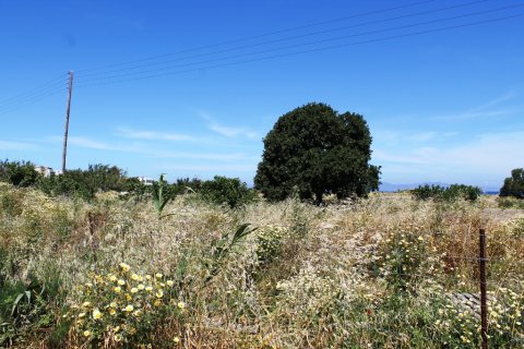 18755m² Land in Rhodes, Greece No. 59704 7