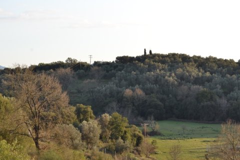 9 chambres House à Corfu, Greece No. 59867 21