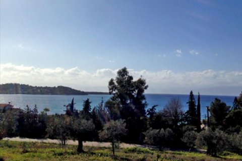 12000m² Land in Kranidi, Greece No. 59703 2