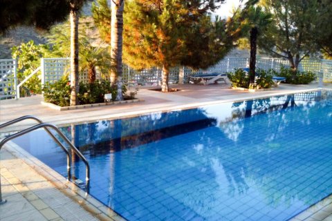 Apartamento tipo estudio Estudio en Limassol, Cyprus No. 50075 3