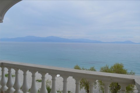 12 rooms Business in Corinthia, Greece No. 59241 4