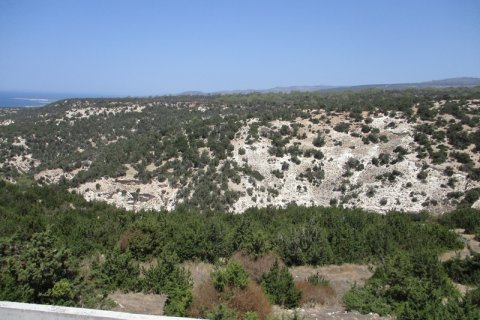 5 dormitorios Villa en Paphos, Cyprus No. 38100 5