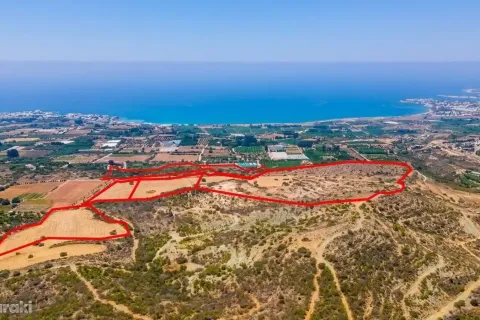 176340m² Land in Kissonerga, Cyprus No. 36322 3