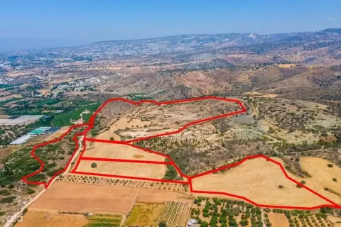 176340m² Land in Kissonerga, Cyprus No. 36322 2