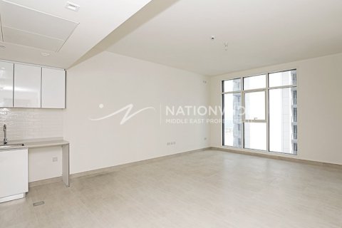 1 bedroom Apartment in Al Reem Island, UAE No. 3460 10