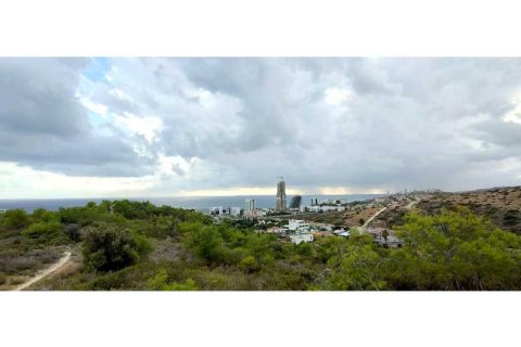 10700m² Land en Parekklisia, Cyprus No. 36242 2