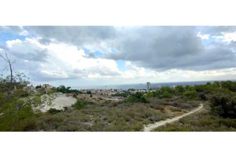 10700m² Land en Parekklisia, Cyprus No. 36242 4