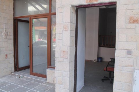 220m² Commercial property en Chalkidiki, Greece No. 49982 7