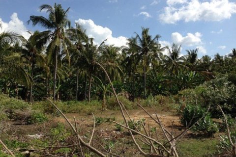 Land in Singaraja, Indonesia No. 23134 7