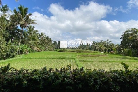 3 bedrooms Villa in Ubud, Indonesia No. 23172 19