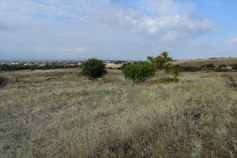 24000m² Land en Oraiokastro, Greece No. 56940 3