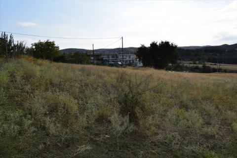 24000m² Land in Oraiokastro, Greece No. 56940 2