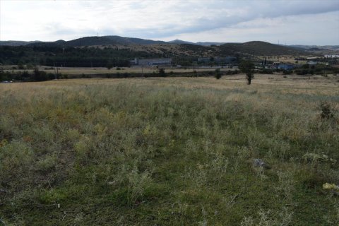 24000m² Land in Oraiokastro, Greece No. 56940 4